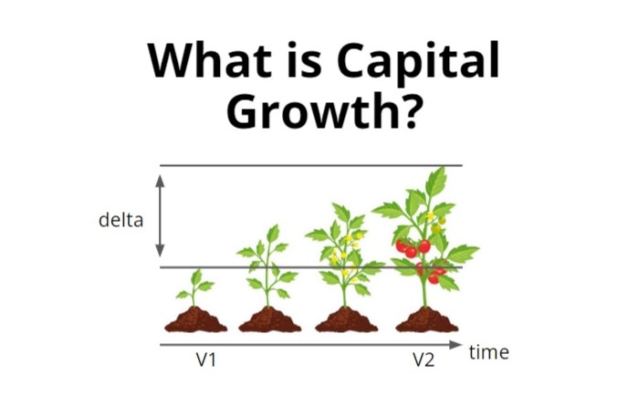 what is capital growth