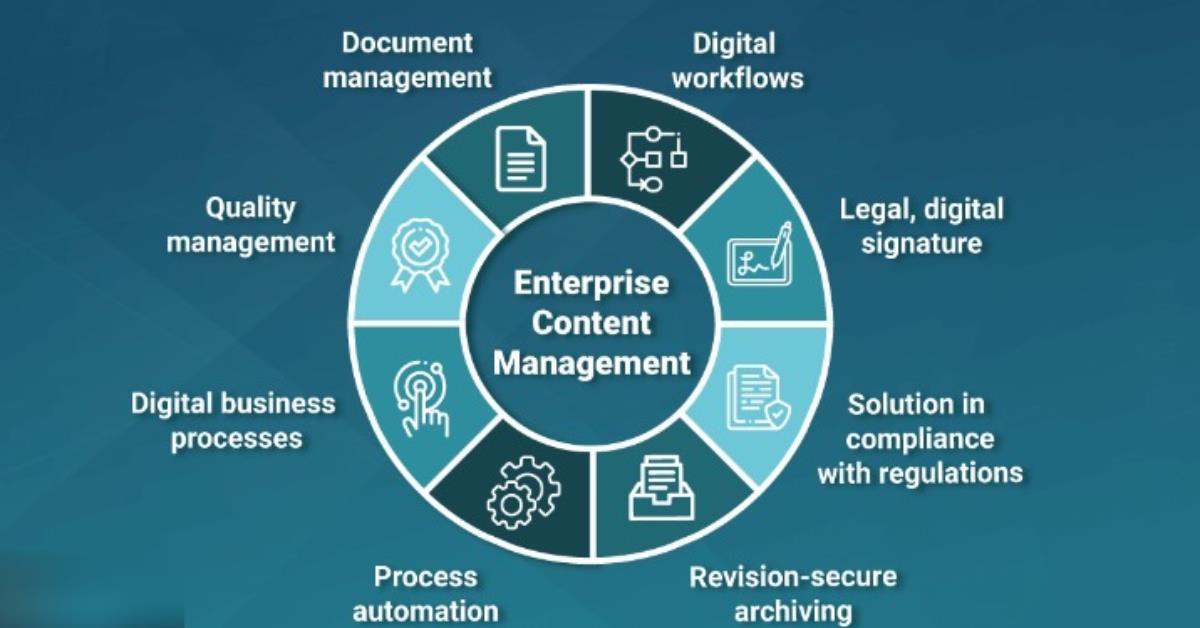 What is an Enterprise Management System?