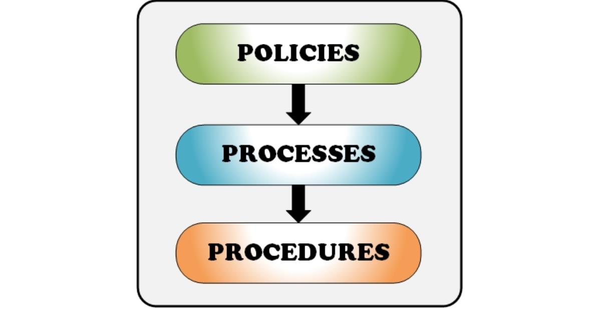 Reasons for having processes and procedures