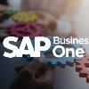 Can you Really Save Cost Using SAP Business One?