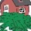 Non institutional lenders are taking the center stage