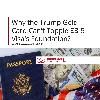 Why the Trump Gold Card Can't Topple EB-5 Visa's Foundation?